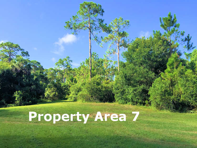 North Port property