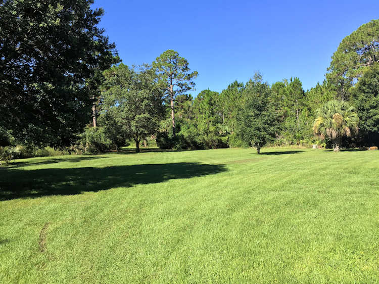 Landscaped back area